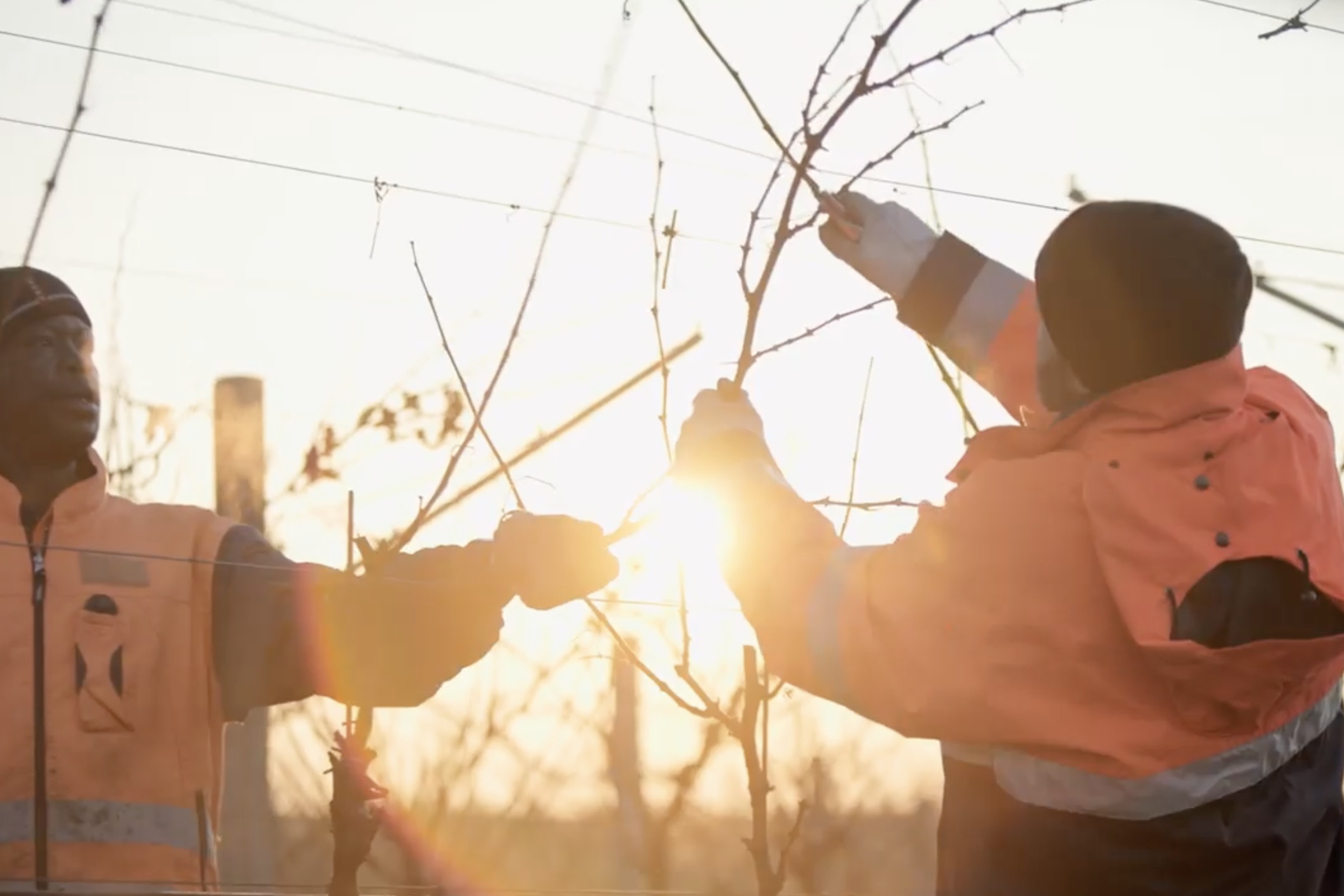 Schermata 2022-10-06 alle 22.29.31